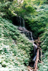 藤琴支流の滝