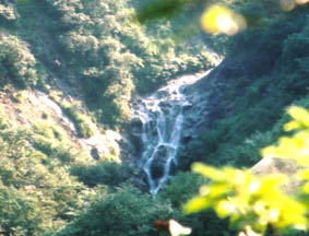 逢鹿の滝