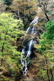 仙岩の滝