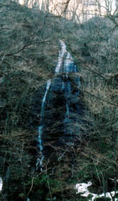 奥入瀬渓流　不老の滝