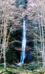 奥入瀬渓流　白布の滝